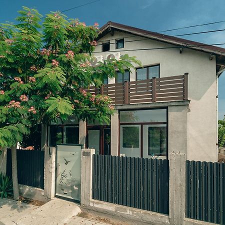 Casa Amina Apartment Sulina Ngoại thất bức ảnh