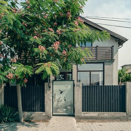 Casa Amina Apartment Sulina Ngoại thất bức ảnh